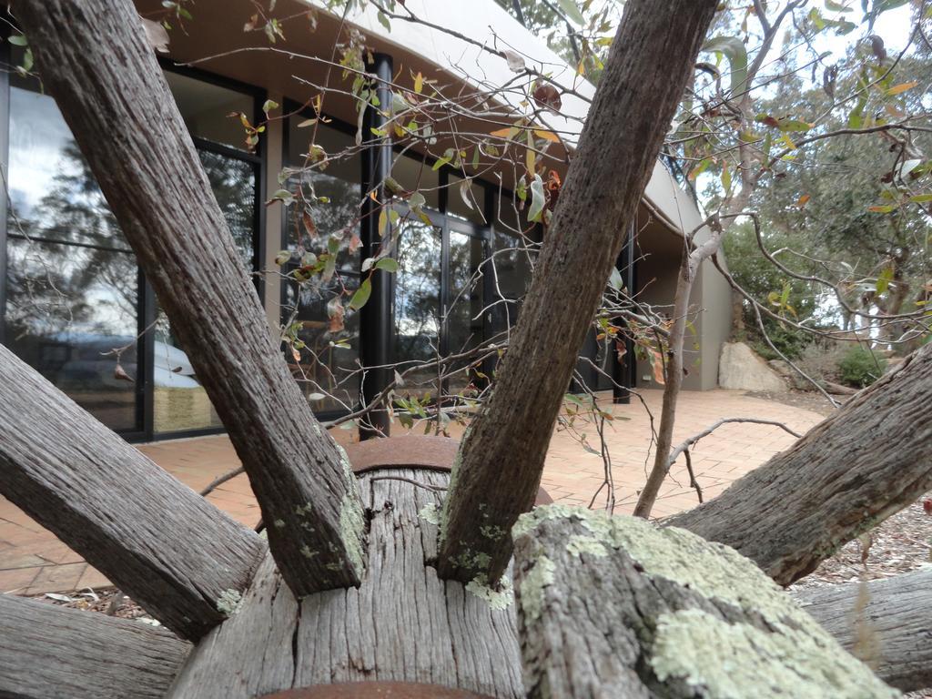 Apartamento Down To Earth Farm Retreat Sarsfield Exterior foto